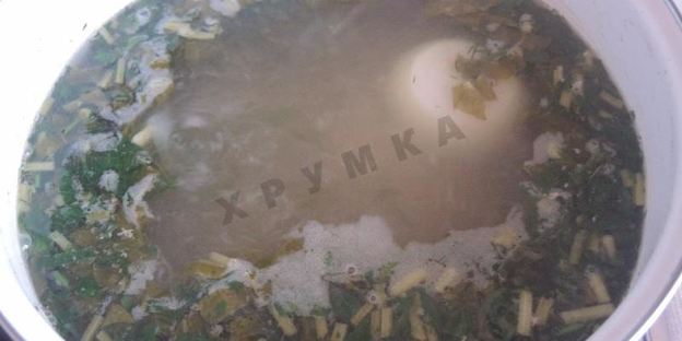 зеленый суп с щавелем, яйцом и мясом