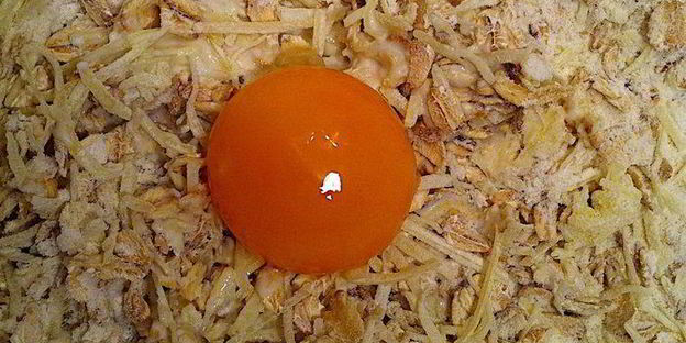 шотландские блины