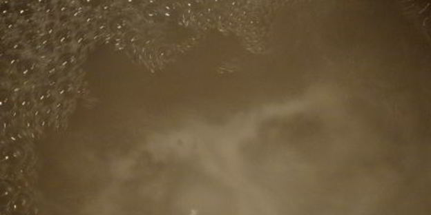 булочки брецель