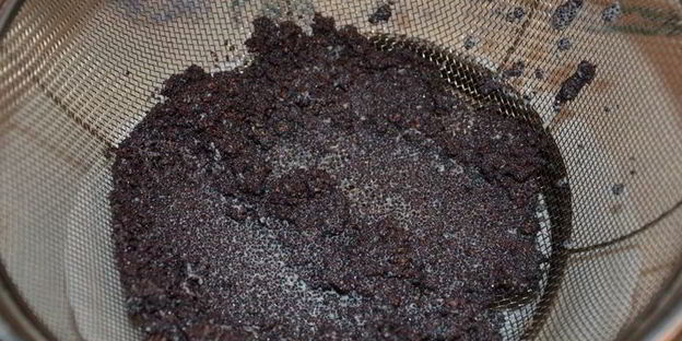 дрожжевые булочки с маком