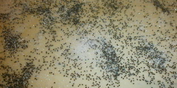 плюшки с маком