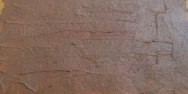 тыквенно-шоколадные булочки