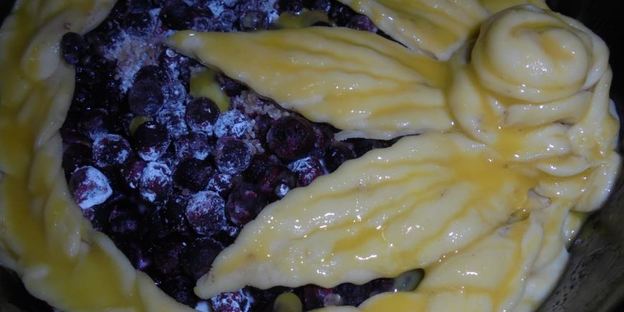 ватрушка с козьим творогом и черникой