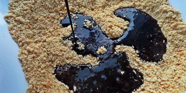 быстрый кокосово-шоколадный рулет