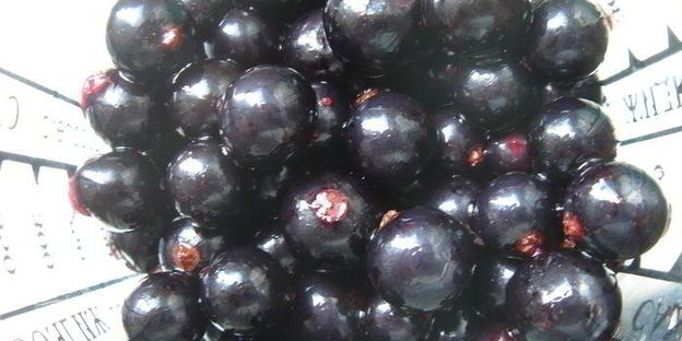 смородиновый чизкейк на хрустящей основе