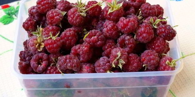 мраморный пряный кекс на сыворотке с малиной