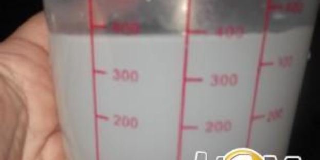 алжирский домашний хлеб