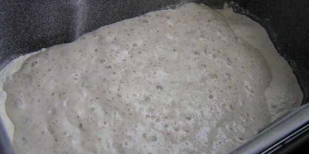 горный хлеб