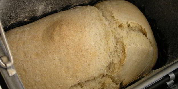 горный хлеб