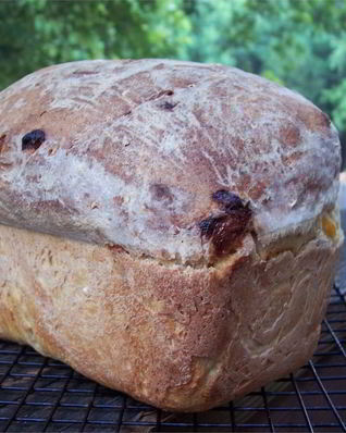Хлеб с курагой и геркулесом