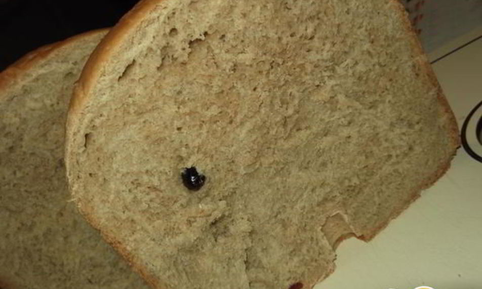 Рецепт хлеба с пшеничной цельнозерновой мукой