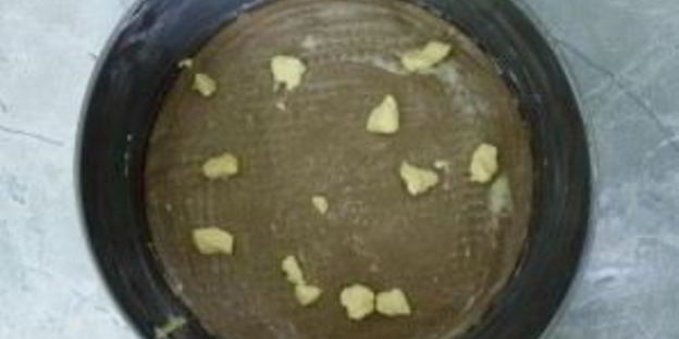 банница по-болгарски из лаваша