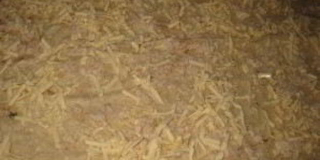 лаваш с майонезом