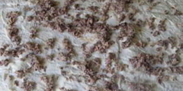 лаваш с сардиной