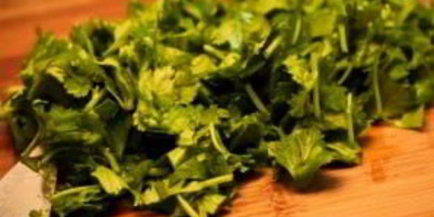 лаваш с сулугуни и кинзой