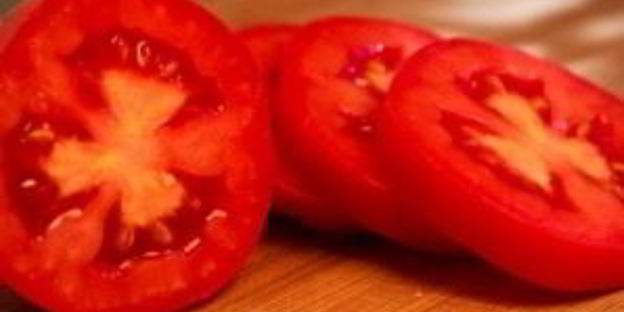 лаваш с сулугуни и кинзой