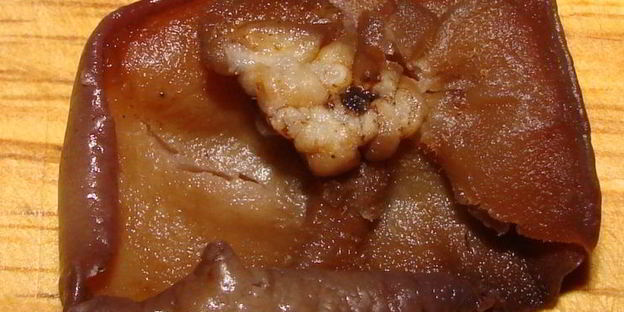 китайские лепешки с мясом и грибами му-эр