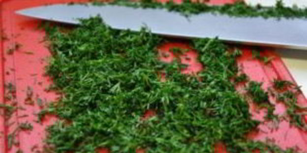 тонкие лепешки с зеленью