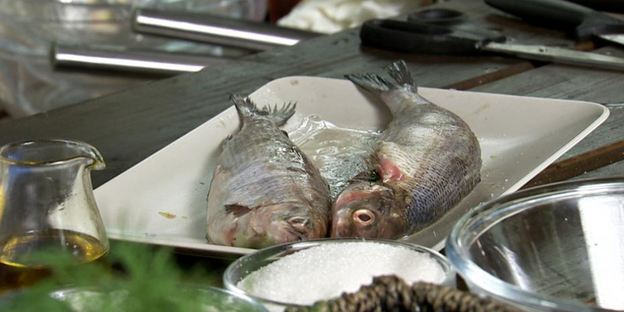 запеченный сиг с грибной лепешкой