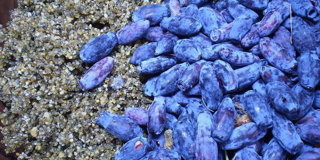 ореховые маффины с ягодами