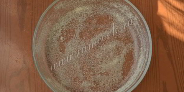 манник на кефире с творогом