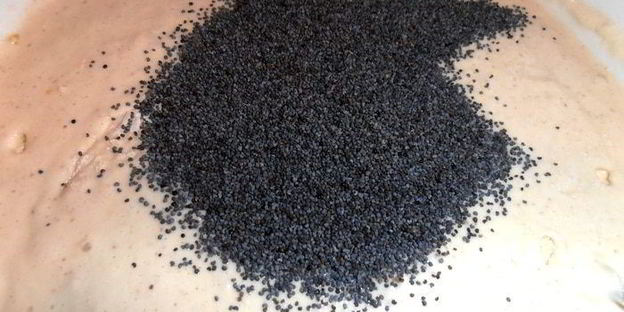 манники ночные к завтраку