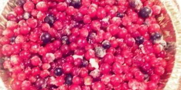 шоколадный манник с ягодами