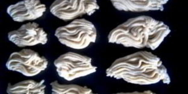 печенье через мясорубку со сметаной