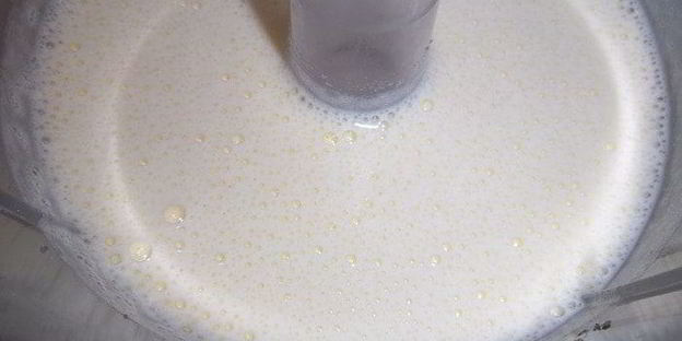 печенье шоколадное