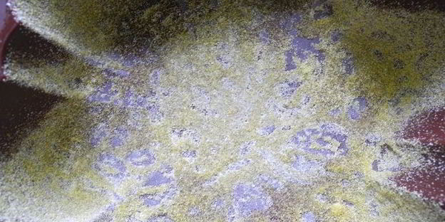 кукурузно-творожный пудинг-пирог с сухофруктами