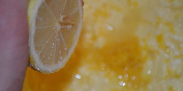 маковый пирог