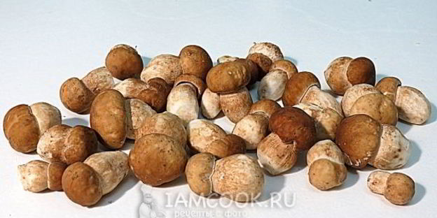 пирожки с картошкой и грибами в духовке