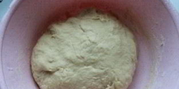 пирожки со сливой из дрожжевого теста