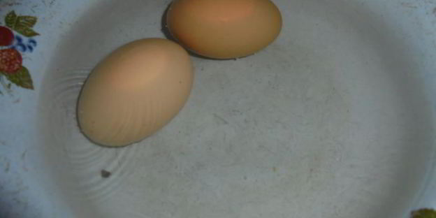 цельнозерновые пирожки со снытью, морской капустой и яйцом