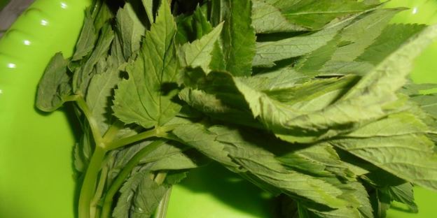 цельнозерновые пирожки со снытью, морской капустой и яйцом