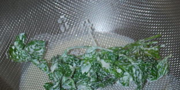 шоколадно-мятные пирожные с арахисовой пастой