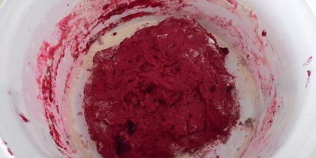 пицца из свекольного теста с овощами и грибами