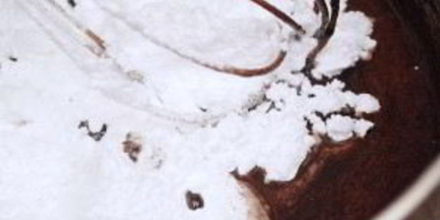 пончики с шоколадом