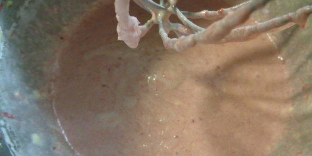 ягодная коврижка