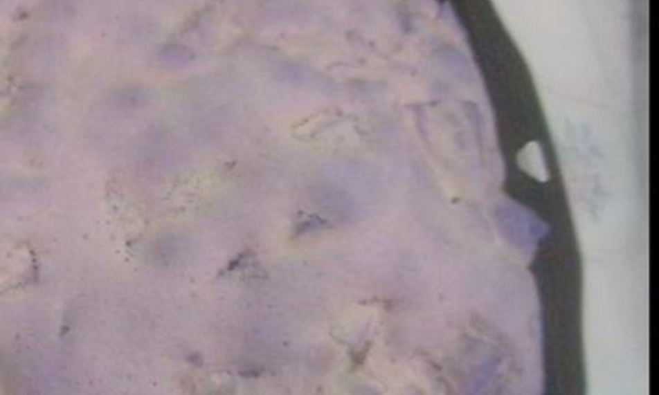 Рецепт шарлотки по быстрому