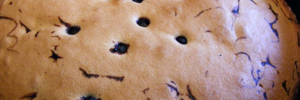 Шарлотка с черникой