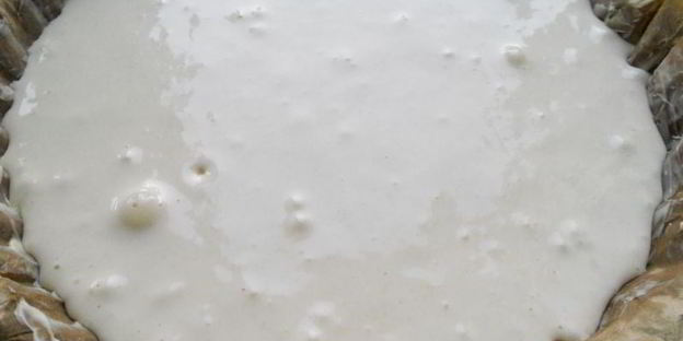 шарлотка с персиками