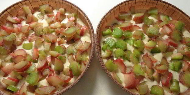 шарлотка с ревенем, вяленой вишней и пряностями