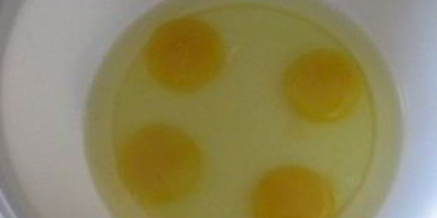 шарлотка с яблоками классическая