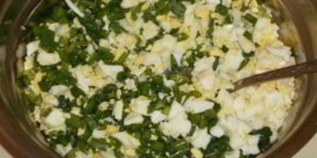 заливная шарлотка с луком