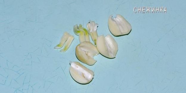 рисовый штрудель с томатно-яблочным джемом