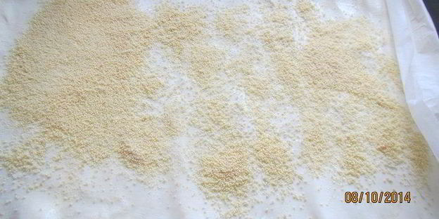 штрудель с капустой и свеклой