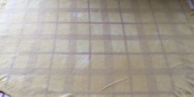 яблочно-сливовый штрудель с ванильным соусом