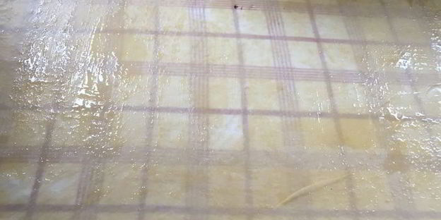 яблочно-сливовый штрудель с ванильным соусом