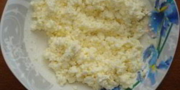 дрожжевое тесто с творогом в духовке